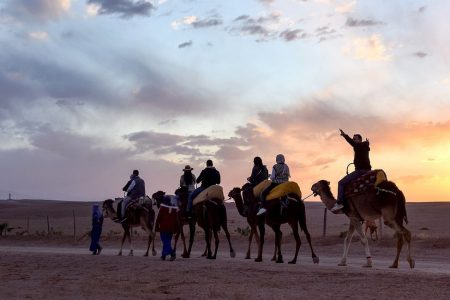 Private Sunset Camel Ride in the Agafay Desert